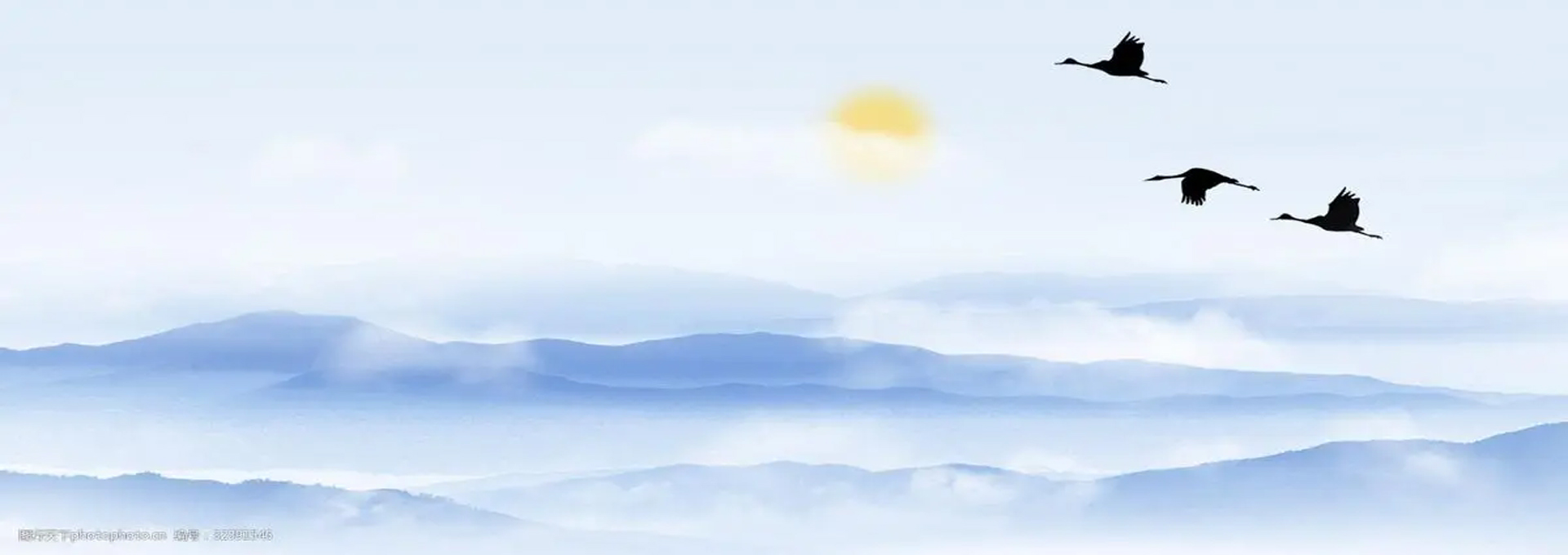 ̩����̩���̲������޹�˾